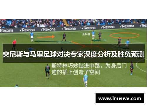 突尼斯与马里足球对决专家深度分析及胜负预测